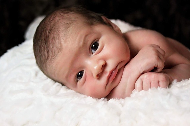 Bebe Show newborn-baby-990691_640