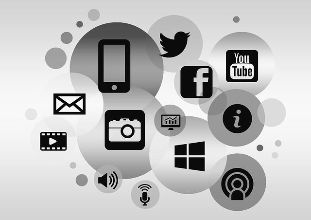 Curs Social Media for HR Teams, 22 iunie online-942402_640
