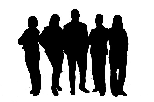 Aprendis-Curs Inspector Resurse Umane autorizat CNFPA doar 400 lei! personal-875801_640