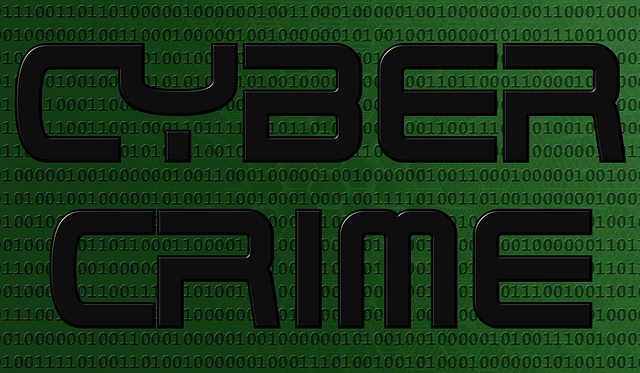 cyber-crime-1012751_640