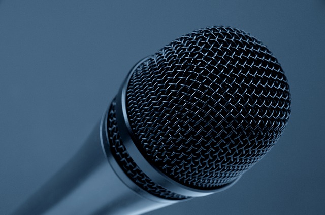 3 tipuri de analiza de presa si modalitatile de pregatire microphone-298587_640