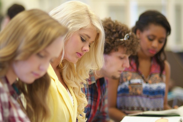 Studentul, reclama de succes a universitatilor din afara students