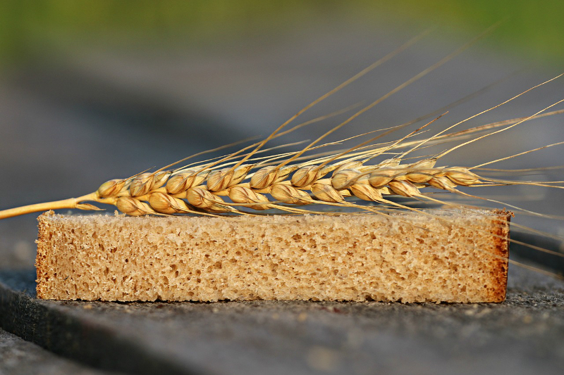 Prospero, brutăria deschisă în curtea casei a ajuns la o cifră de afaceri de milioane de euro bread-1520402_1280