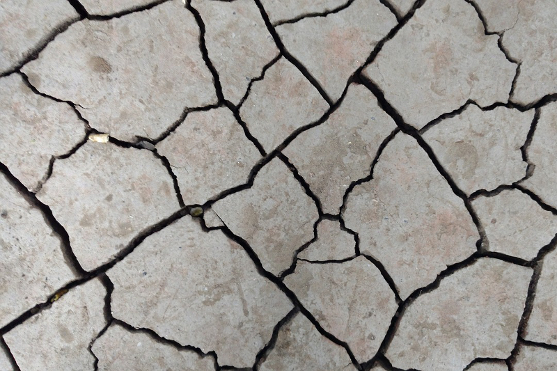 FOCUS: Ce afaceri ar fi cel mai puternic afectate de un cutremur similar celui din 4 martie 1977 cracks-2099531_1280