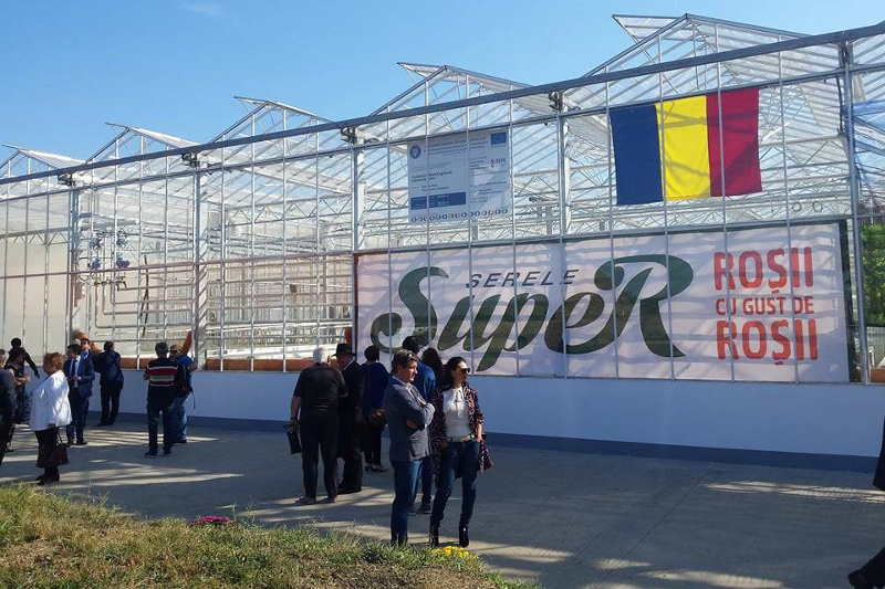 Cea mai mare seră din România, inaugurată în Timiș: Roșiile cresc în coajă de nucă de cocos 2F552265-F47D-4DB5-807A-FB1CC35B5E32_sera8