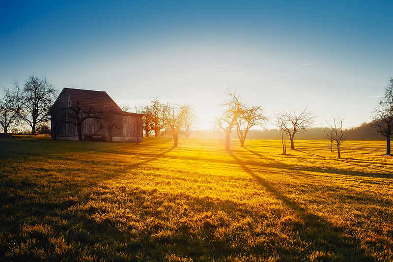 sunrise-1892493_1280